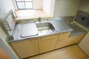 エーデルワイス 102号-9