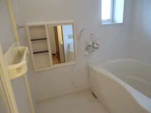 ベルハイム参番館D 102号-6