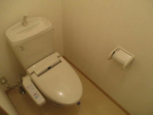 ディアス関場Ⅱ 201号-10