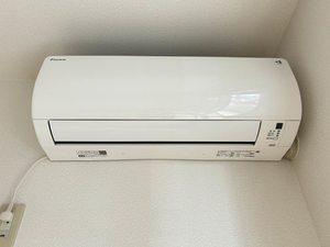 ルミエールショウワ B 101号-9