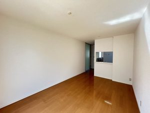 メゾンドール 101号-2