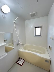 メゾンドール 101号-9