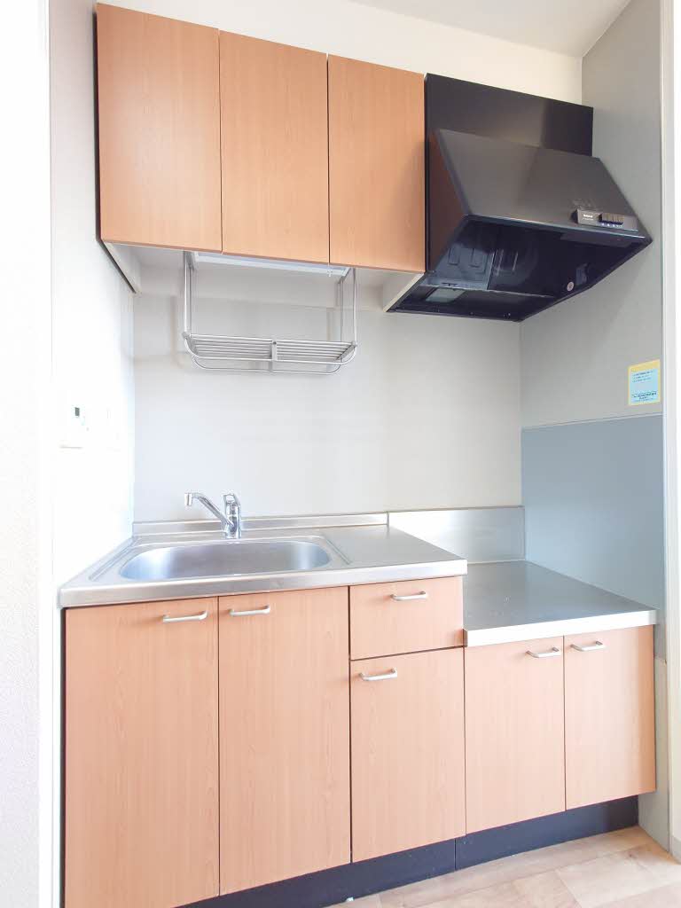 ディアス菜根Ⅱ 101号-4