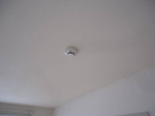 シャーメゾン・ラ・フォーレ　Ｂ 101号-13