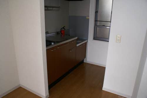 アースヴィレッジ 101号-7