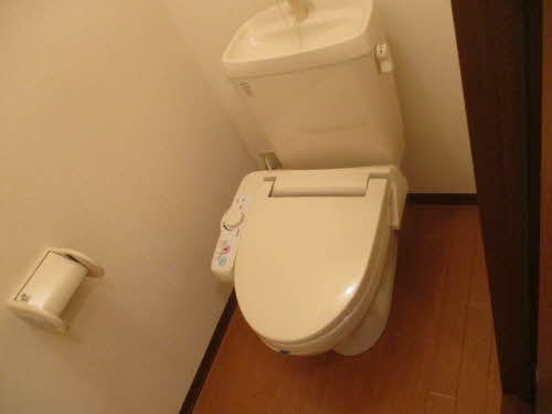 ロイヤルバレーⅡＡ 201号-3