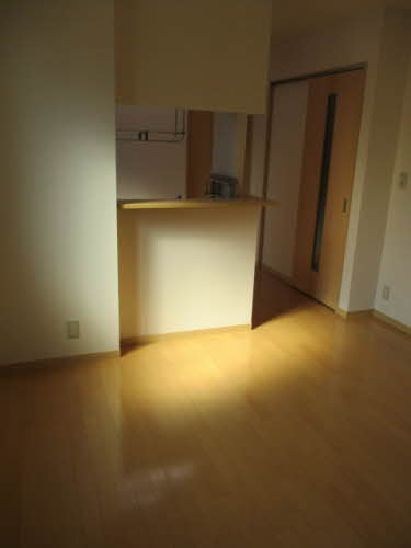 レイハウスB 101号-3