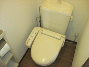 ロイヤルレジデンスB 202号-5