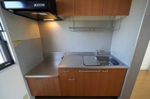 フィールドトップＤ 203号-4