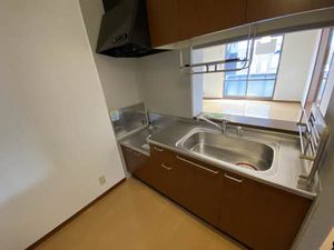 コーポヤナイＤ 101号-7