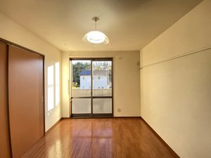 スカイ・リバーB 201号-3