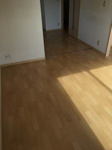クランシューズ 203号-13
