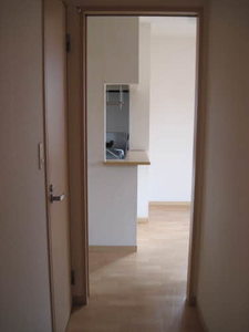 ディアス・ロジュマンＢ 102号-10