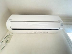 エコ・プリーマＢ 202号-13