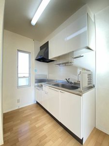 ピュアＡ 201号-3