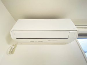 マノワール・デ・テクラB 102号-11