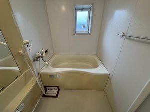 マーヴェラスヒル 102号-5