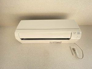 コスモリバーⅡ 201号-10