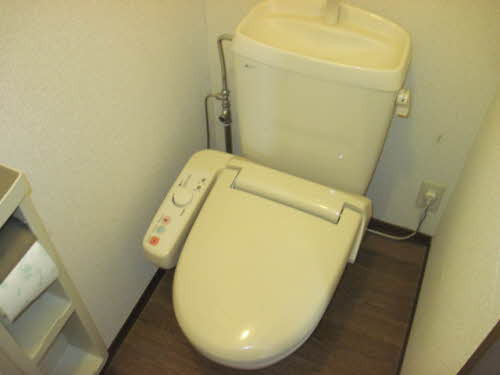 ロイヤルレジデンスB 202号-5