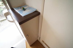 アパートメントハウス・アイリスＣ 107号-11