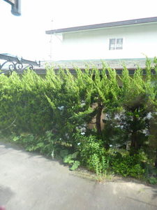 リッチフィールド都南 102号-8