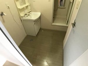 ルフロン・ＫＴ 202号-11