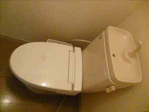 ディアス北天昌寺 203号-11