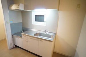 ディアス　マリ 101号-4