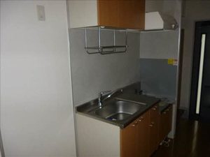 コスモス　Ｂ 102号-2