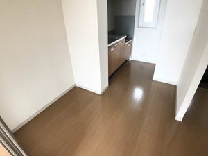 サン・カシオペア B 102号-11