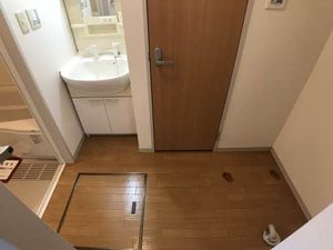 サン・カシオペア B 102号-12