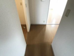 サン・カシオペア B 102号-13