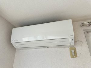 サン・ペガサス B 102号-12