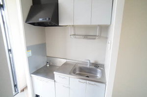 ハイツ早坂 201号-8