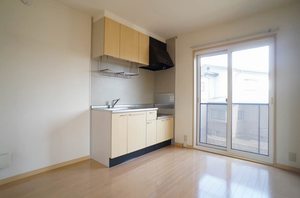 ポラリス 201号-5