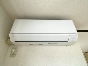 ディアス セフィーラⅡ 101号-11