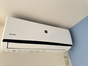 オッホ　Ｃ 101号-12