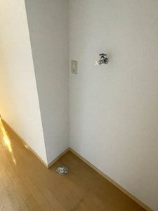 セリーナ 202号-8
