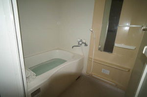 ディアス　セフィーラⅢ 101号-4