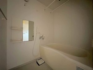 レチューガ 102号-7