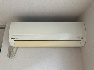 レチューガ 102号-11