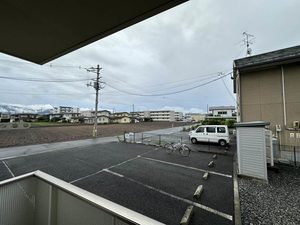 レチューガ 102号-15