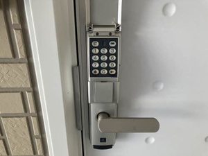 メイフラワー 101号-2
