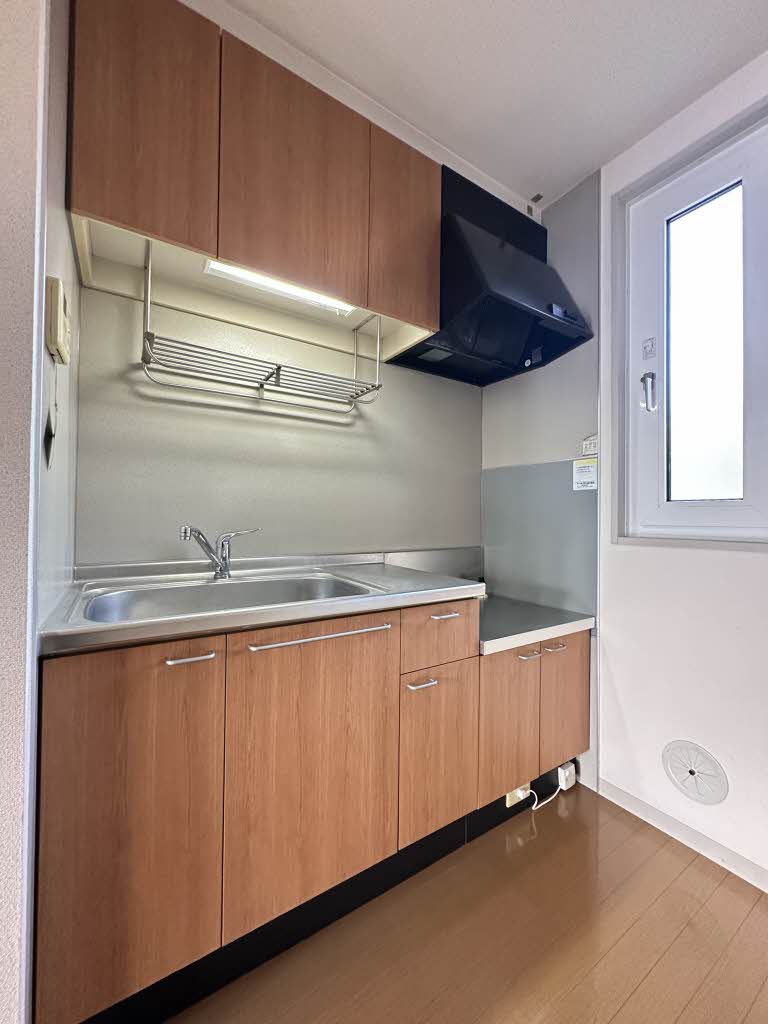 サン・ペガサス B 102号-4