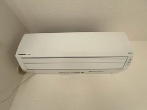 コート・ハイネス D 103号-11