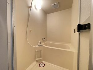 ディアスＺＥＮ　Ａ 206号-5