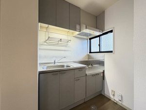 ディアスZEN C 103号-4