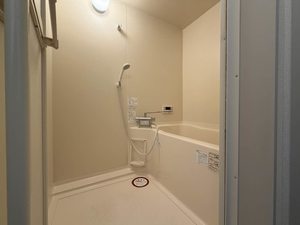 ディアスZEN C 103号-6