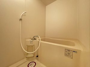 ディアス水山 C 206号-5