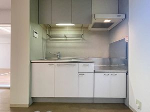 ナイス・アーバン 101号-4